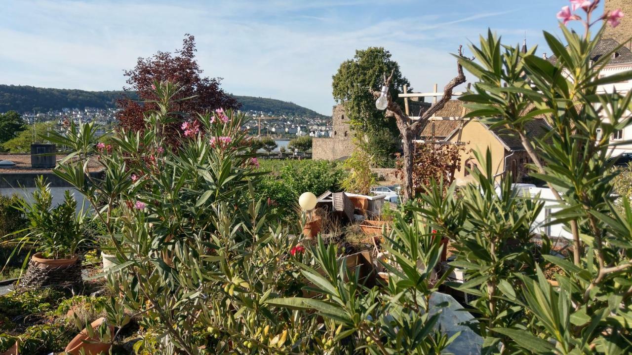 Artstudio Rudesheim Apartment Рюдесхайм ам Рейн Екстериор снимка