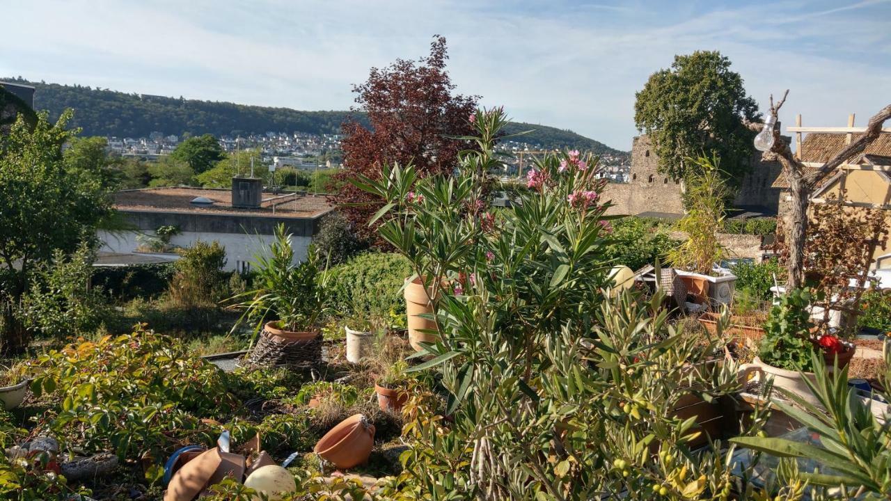 Artstudio Rudesheim Apartment Рюдесхайм ам Рейн Екстериор снимка